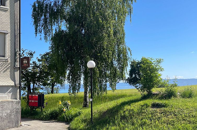 Appartement Wartheim