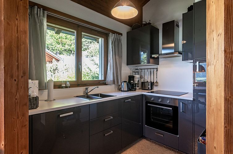 Appartement Mira Piz Mundaun, (Sagogn). 3 Zimmerwohnung