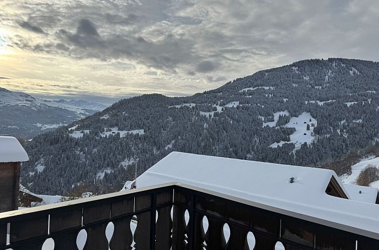 Appartement Casa Ladina 4
