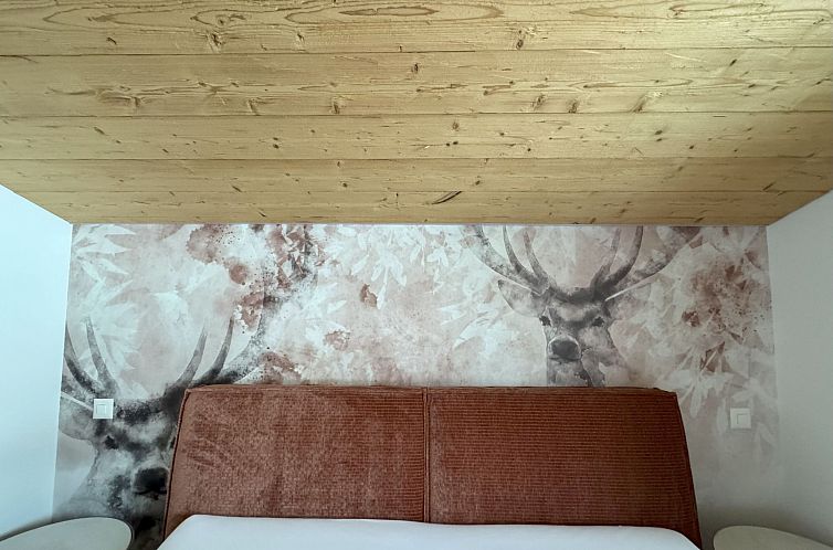 Appartement Casa Ladina 4