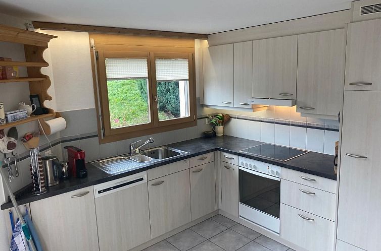 Appartement Wohnung Schluein