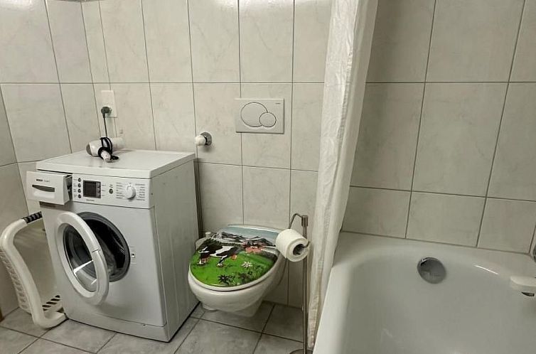 Appartement Wohnung Schluein