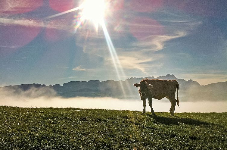 Appartement Panoramablick
