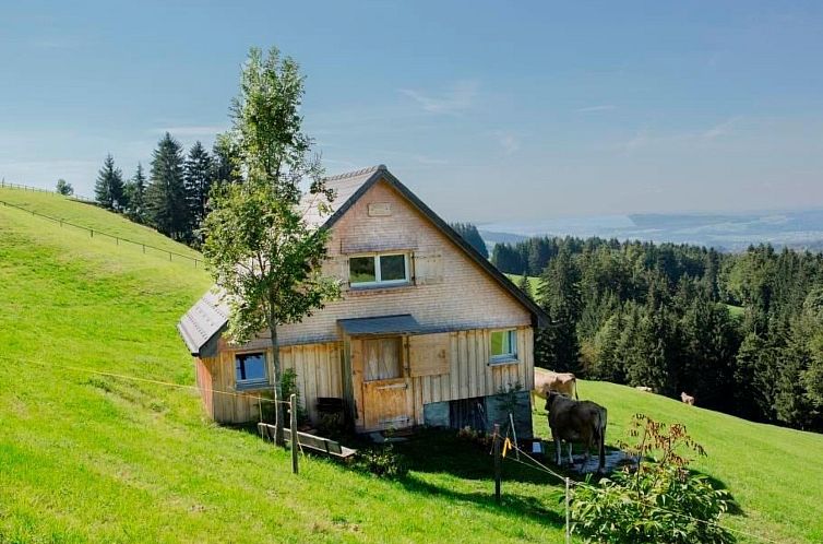Appartement Bauernhof Fendrig  - neue Wohnung