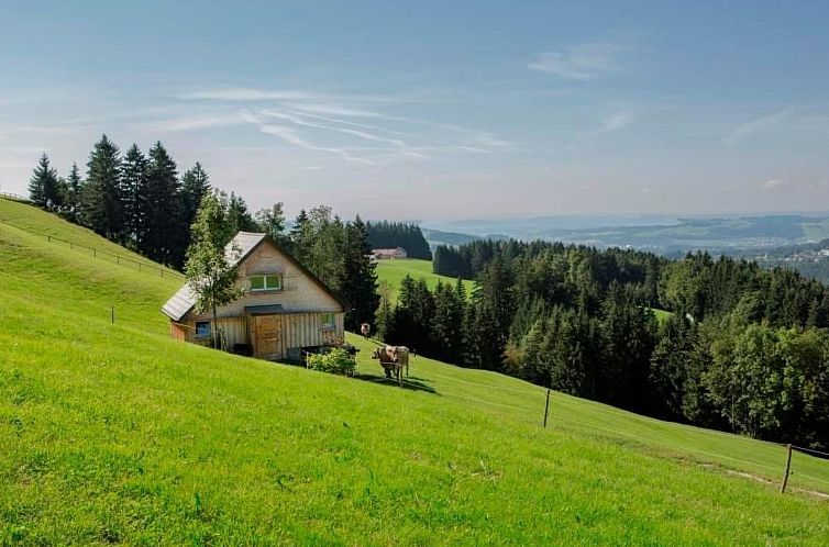 Appartement Bauernhof Fendrig  - neue Wohnung