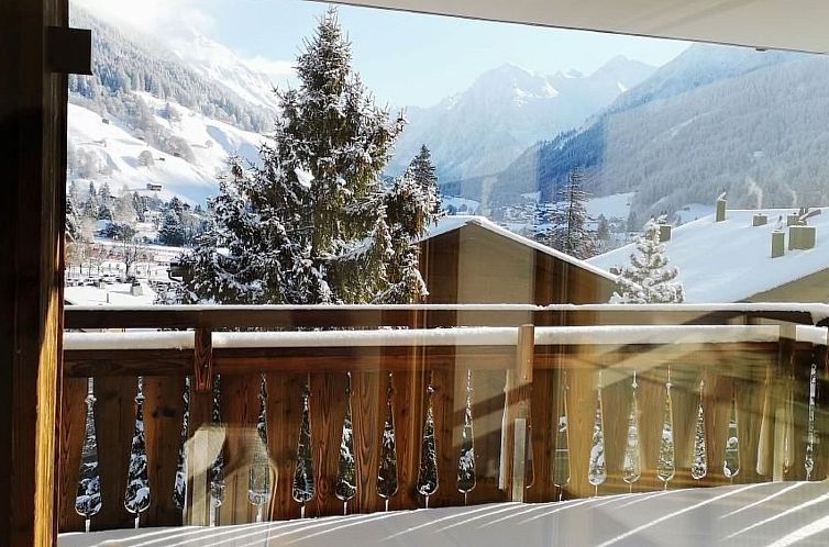 Appartement Silvretta Robles Wohnung