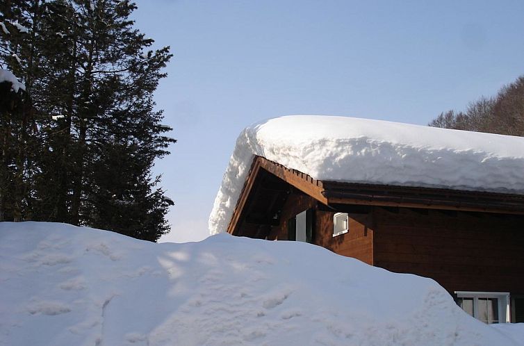 Vakantiehuis Haus Wick Chalet/Ferienhaus