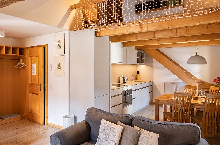 Appartement Chesa Olgiati 1