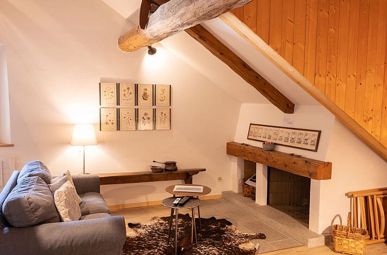 Appartement Chesa Olgiati 1