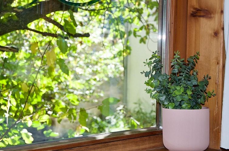 Appartement The Green Room