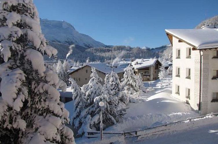 Appartement Celerina Chesa Aivla