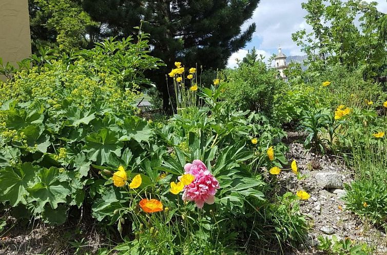 Appartement Chesa Betschla