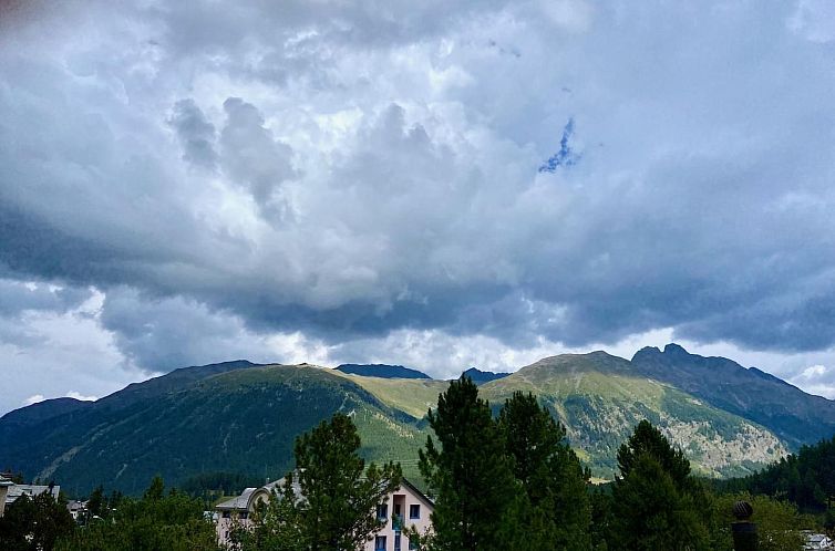 Appartement The Green Hut