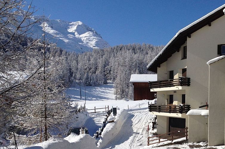 Guest house 1829234 - Apartment Under Gräub / Grisons - Appartement Chesa Panorama
