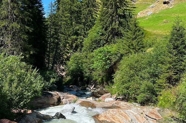 Vakantiehuis Chalet Vals