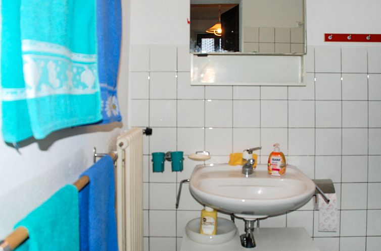 Vakantiehuis Verzaschina