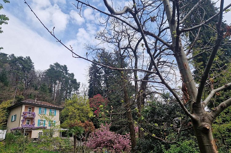 Unterkunft 1830658 - Ferienhaus Tessin - Vakantiehuis La Pineta