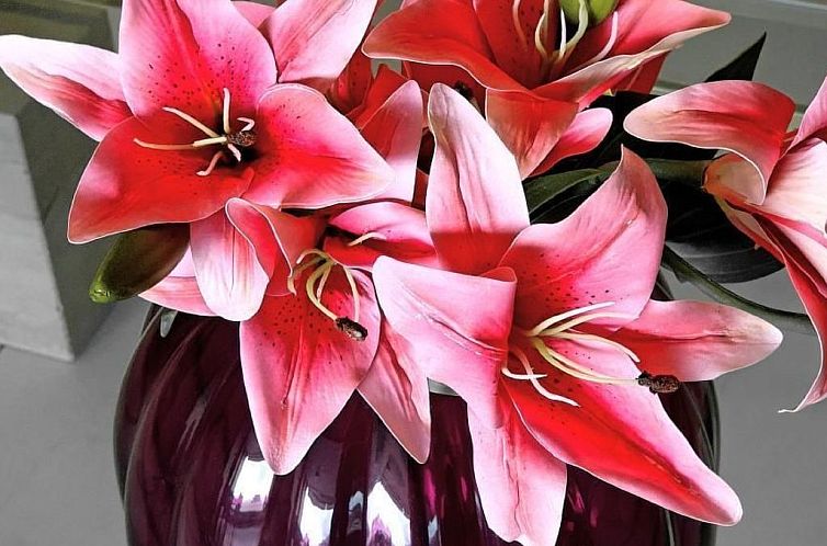 Appartement Lake View Penthouse 701