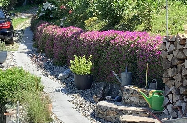 Unterkunft 18311405 - Ferienhaus Tessin - Vakantiehuis Rustico Motto della Capra