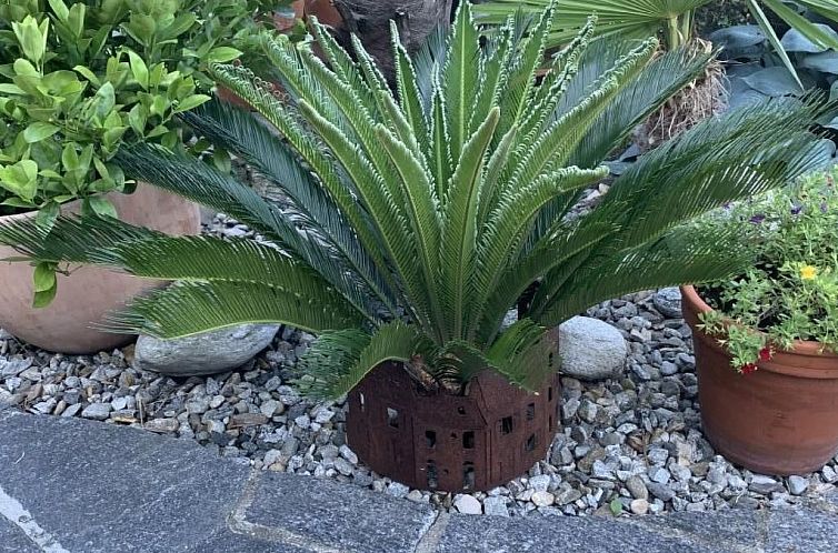 Vakantiehuis Rustico Motto della Capra