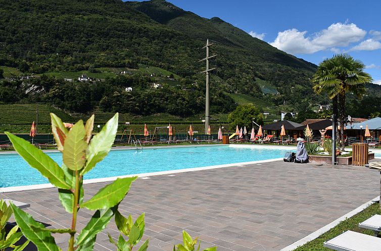 Unterkunft 18311801 - Ferienhaus Tessin - Vakantiehuis Bungalow Isola Premium