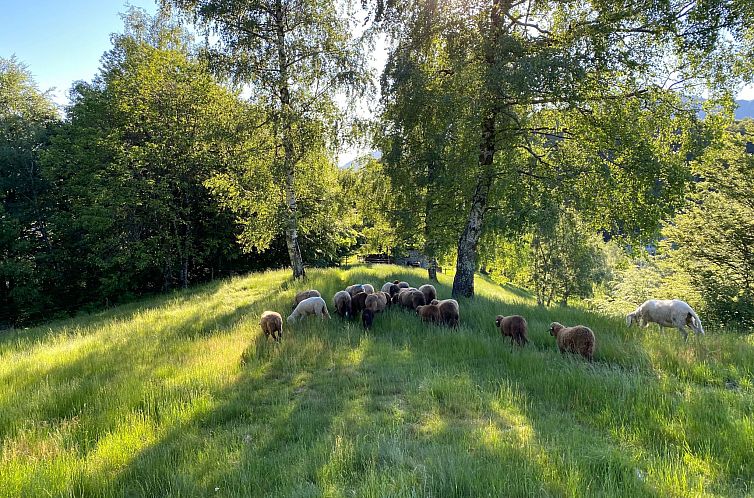 Appartement Typisches Tessiner Landleben im Centovalli