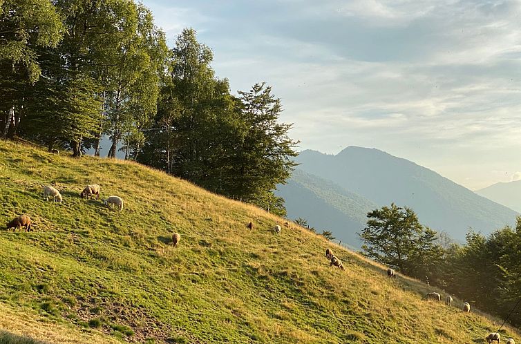Appartement Typisches Tessiner Landleben im Centovalli