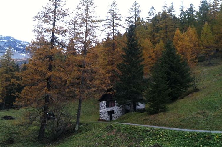 Vakantiehuis "Rustico Bersacola