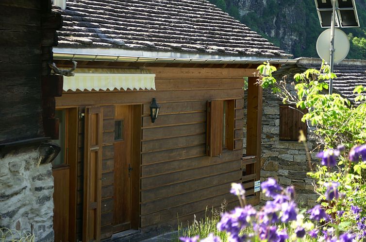 Vakantiehuis Rustico Fortuna