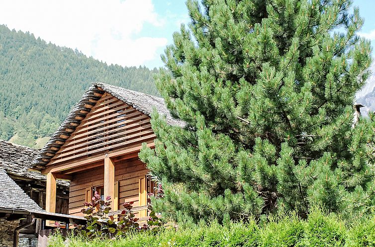 Vakantiehuis Rustico Fortuna