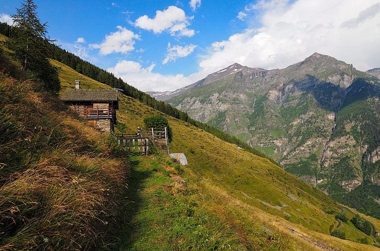 Vakantiehuis Rustico Catcüc