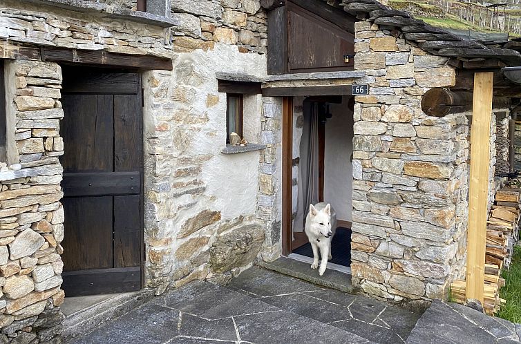 Vakantiehuis Rustico Scateto 66