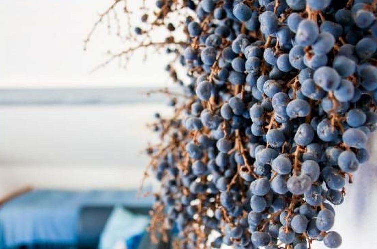 Appartement Casa Beatrice