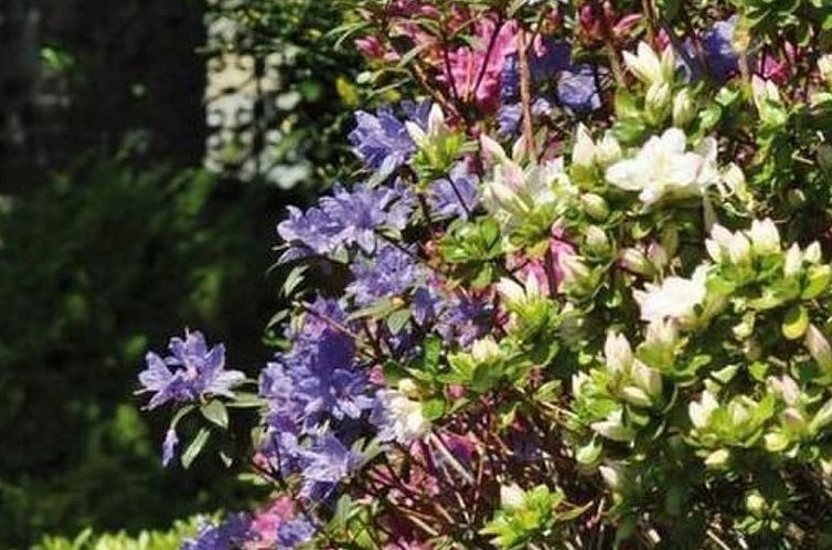 Vakantiehuis Villa Cresta Bianca