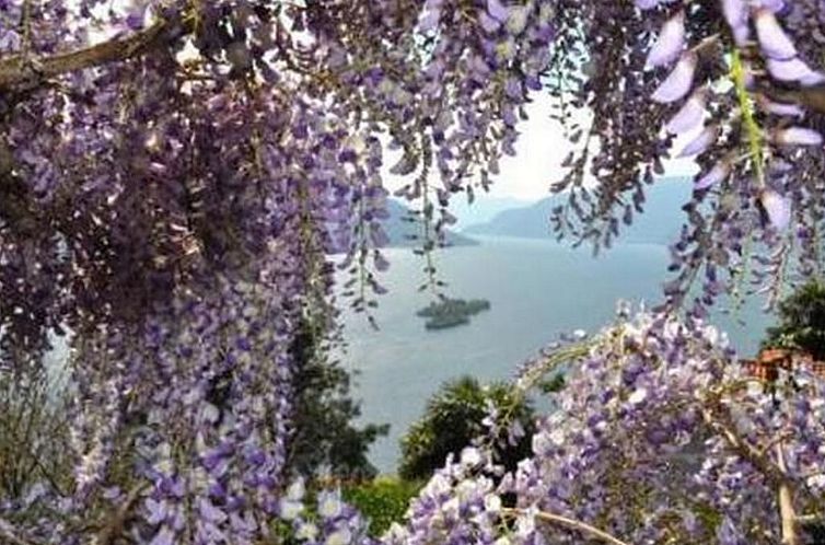 Vakantiehuis Villa Cresta Bianca