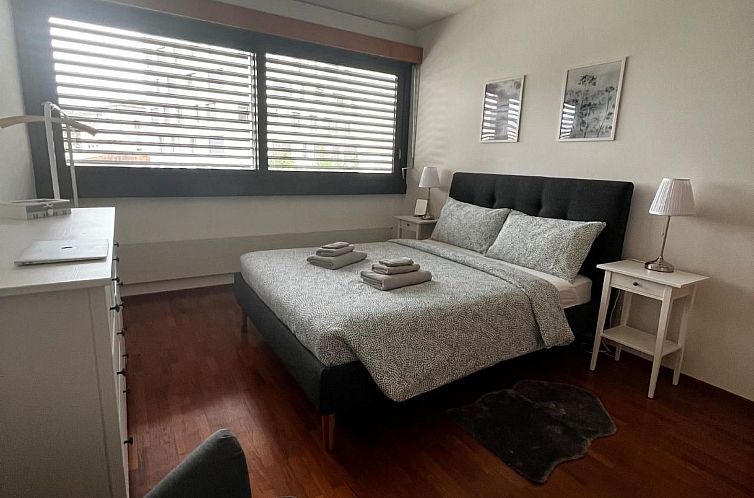 Appartement Lugano City Wohnung in Cassarate am See