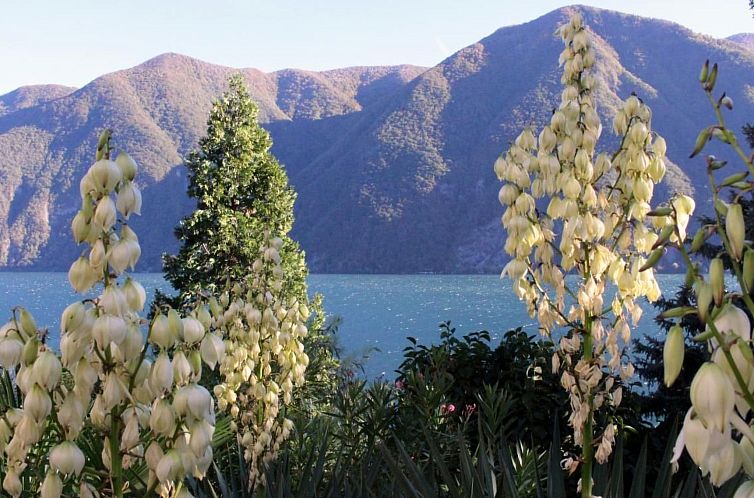 Appartement Garten-Wohnung