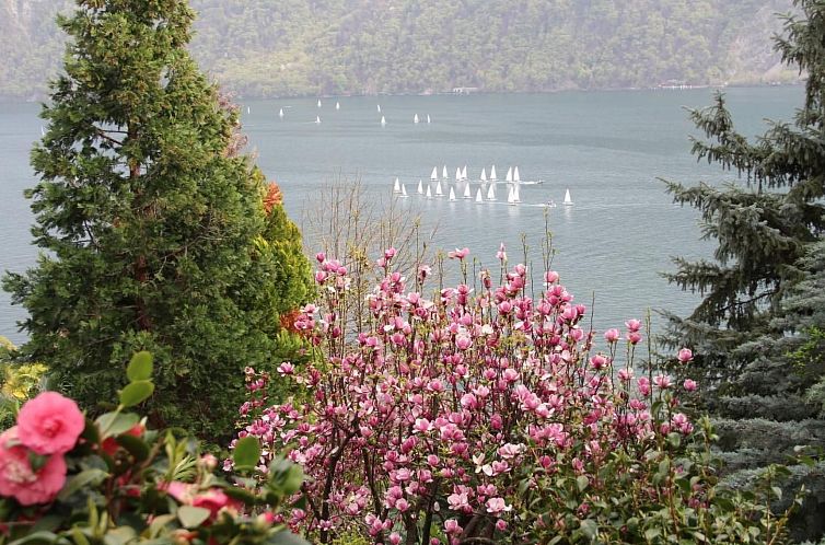 Vakantiehuis Barony Villa