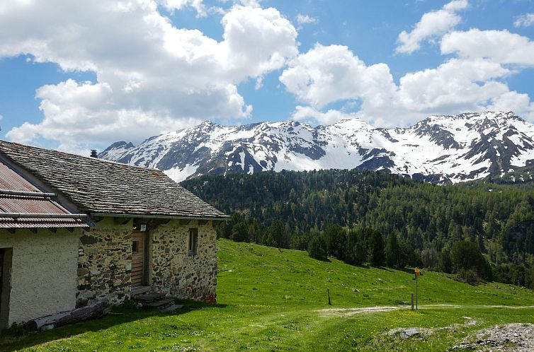 Vakantiehuis Rustico Dolomia