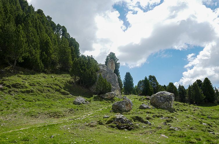 Vakantiehuis Rustico Dolomia