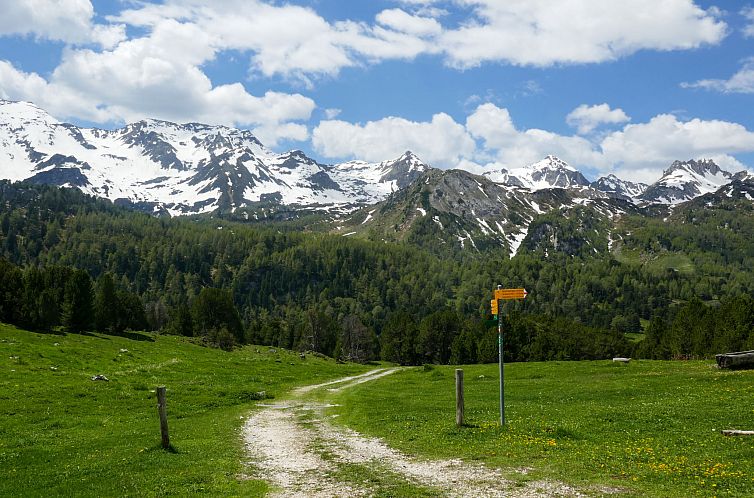 Vakantiehuis Rustico Dolomia