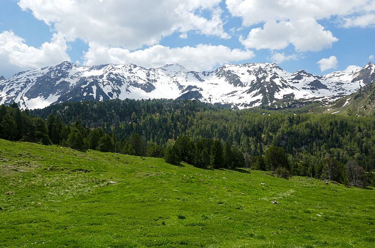 Vakantiehuis Rustico Dolomia