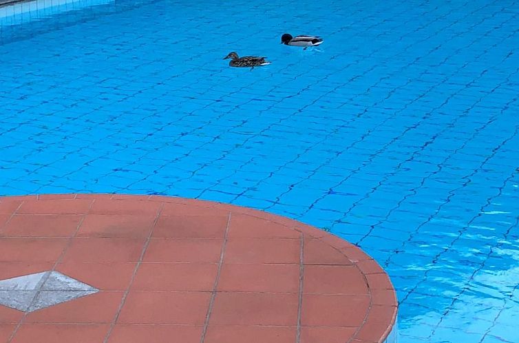 Appartement Residenza Viramonte - Casa Fiona, Wohnung 52