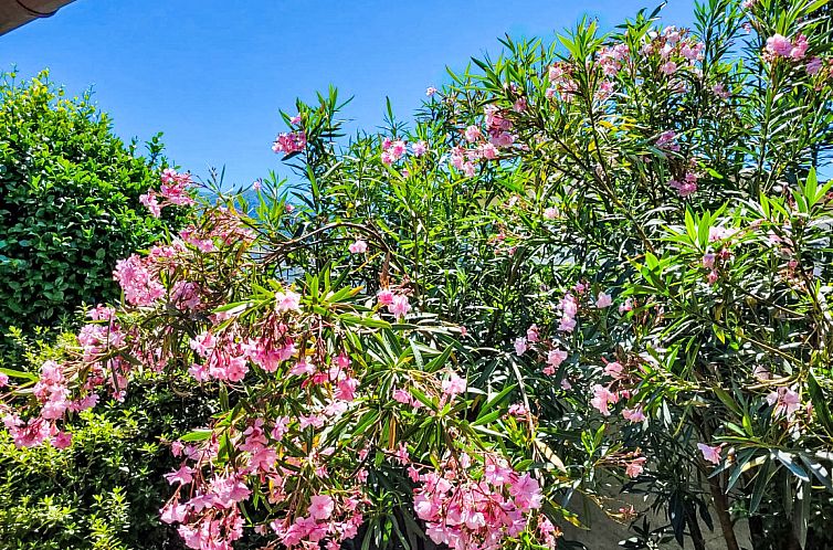 Vakantiehuis Villetta Isabella