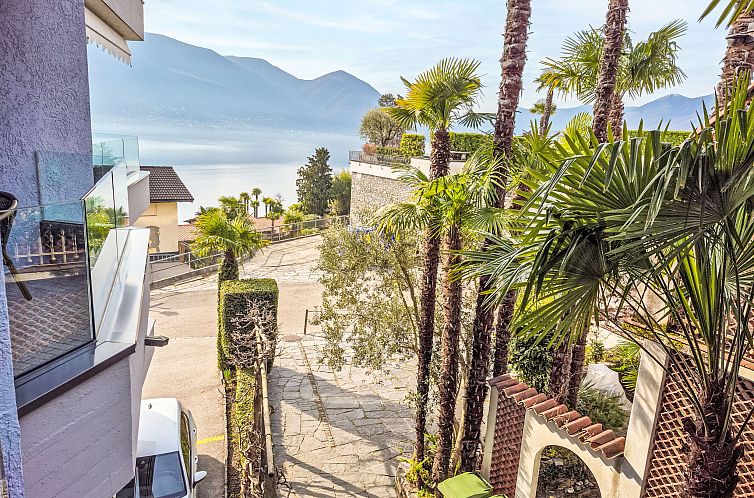 Appartement Junior Suite Modern