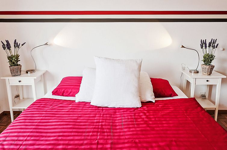 Appartement Penthouse Suite