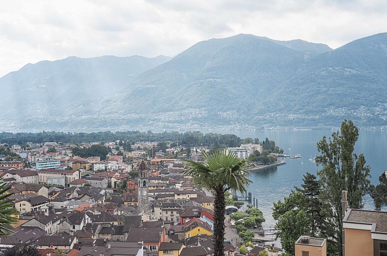 Appartement Double Room Modern