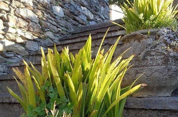 Appartement Casa Fiore