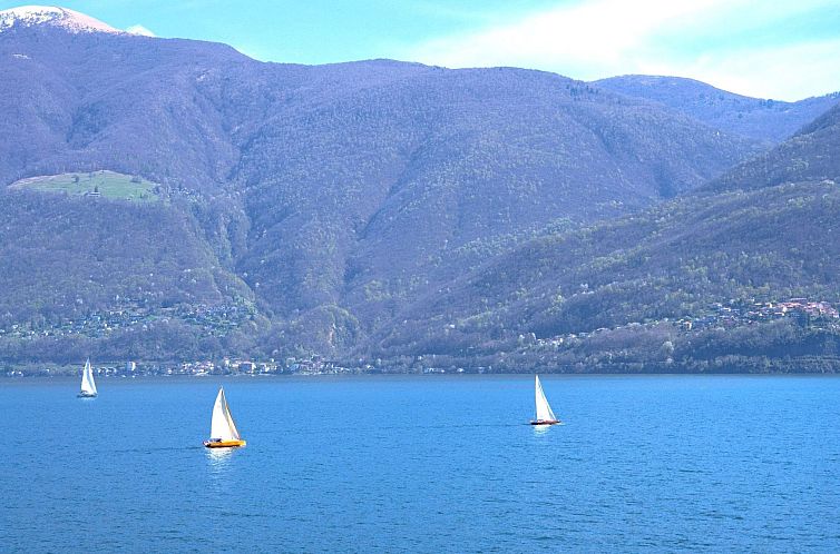 Unterkunft 1833313 - Appartement Tessin - Appartement See-Penthouse