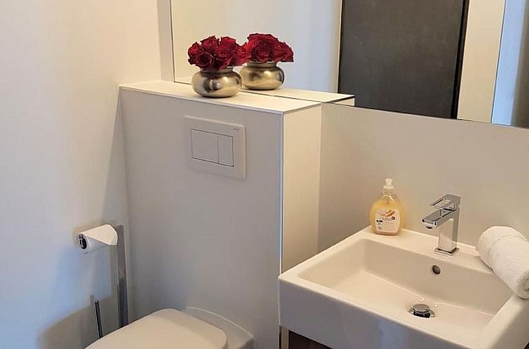 Appartement mit Bergblick